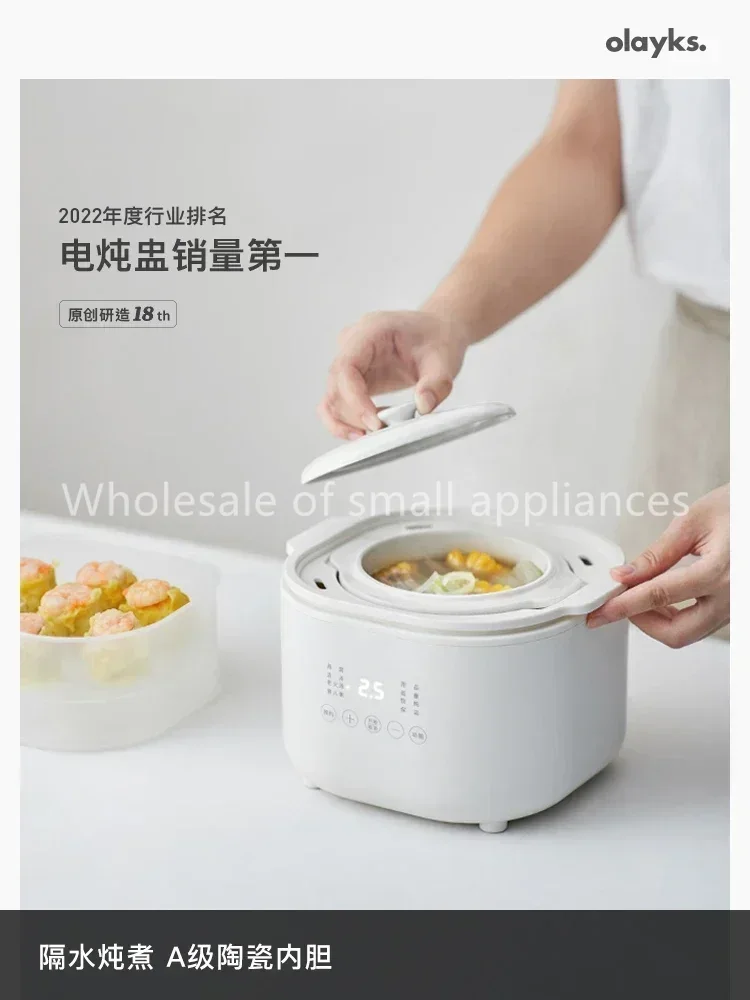 220V kleine elektrische kookpl - Baby Food Home recensie en prijs
