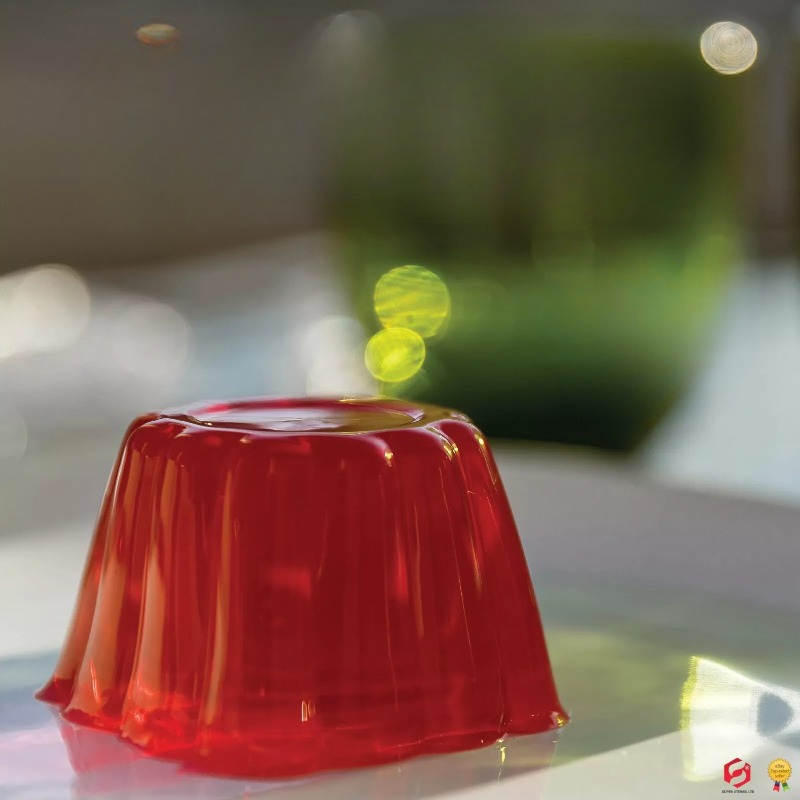 Puddingcakevorm met deksel DIY - Baby Food Home recensie en prijs