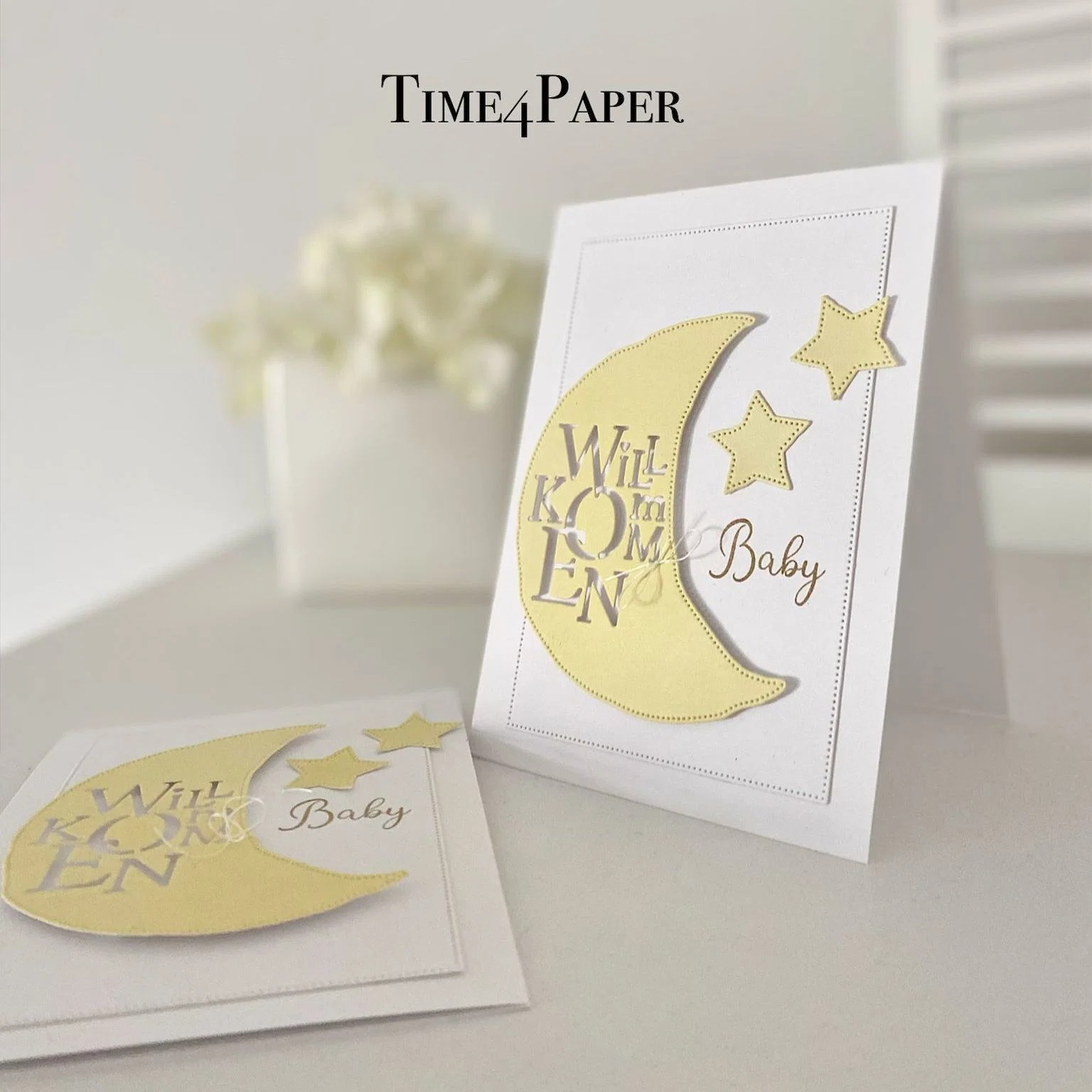 Babykoffer Stempels En Matrijz - Baby Food Bag recensie en prijs
